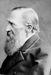 Józef Ignacy Kraszewski.PNG