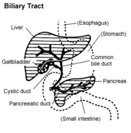 BiliaryTract.gif