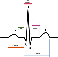 SinusRhythmLabels.svg
