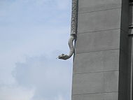 Snake on House with Chimaeras.JPG