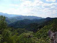 P1010889.jpg