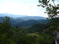P1010919.jpg