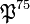 \mathfrak{P}^{75}