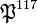 \mathfrak{P}^{117}
