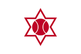 Флаг