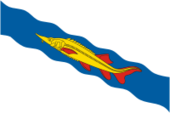 Флаг