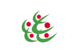 Флаг