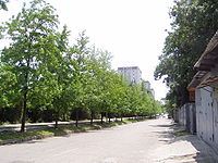 60 let VLKSM Sochi.JPG