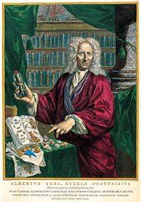 Albertus Seba Portrait farbig.jpg