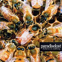 Обложка альбома «Believe in Nothing» (Paradise lost,  2001)