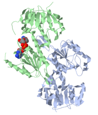 Clathrin with NAD.png