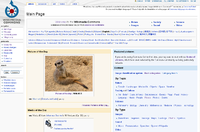 Commons screenshot.png
