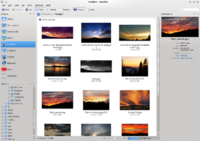 Dolphin FileManager.png