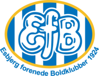 Football efb logo.png