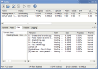 Halite bittorent client.png
