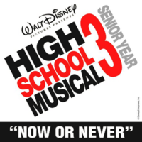 Обложка сингла «Now or Never» (Зак Эфрон при участии Ванессы Хадженс, 2008)