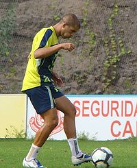 Pollo wiki.jpg