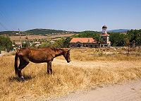 Ravadinovo.jpg