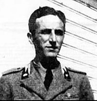 Rinaldo Arnaldi.jpg
