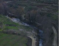 Rio tedo.JPG