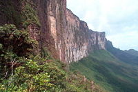 Roraima-Tepui Wand.jpg