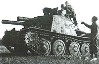 Sav m43.JPG