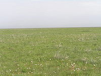 Step1.JPG