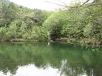 Tavignanu1.jpg
