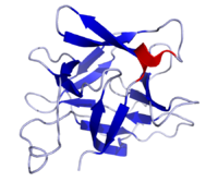 Интерлейкин 18 chemical structure