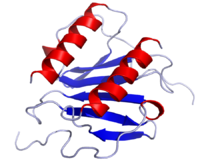Интерлейкин 8 chemical structure