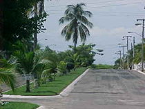 EntBacocho-e.jpg