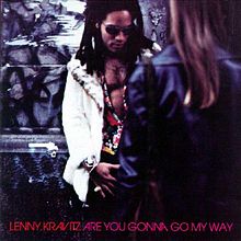 Обложка альбома «Are You Gonna Go My Way» (Ленни Кравиц, 1993)