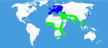 Distribution map Daphnis nerii.svg
