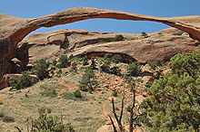 Landscape Arch.JPG