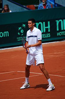 RO B Hanescu Davis Cup.JPG