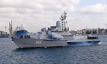 RaisAli-2.jpg