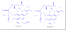 Rifamycin B.gif