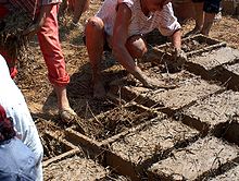 RomaniaDanubeDelta MakingMaterialForCOnstructing0002jpg.JPG