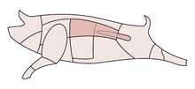 Schwein-Ruecken.png