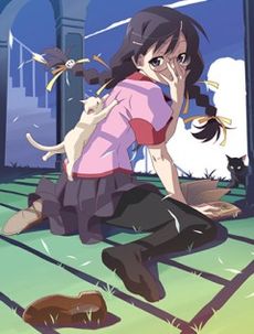 Bakemonogatari.jpg