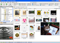 ACDSee 10 Photo Manager.PNG