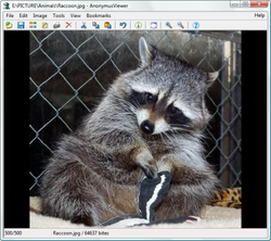 AnonymusViewer.png