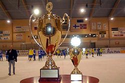 Edsbyn Champions Cup.jpg