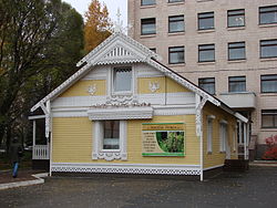 House-thread 98.JPG