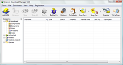 Internet Download Manager.png