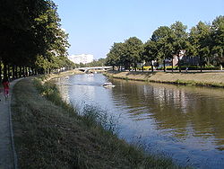 Лис в Генте