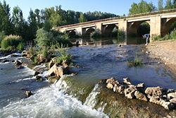Río Cea por Mayorga.jpg