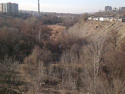 Овраг реки Царицы. Внизу можно увидеть воду — это и есть река.