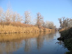 Reka BOrovaya Osen 003.JPG