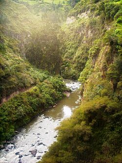 Rio guaitara2.JPG